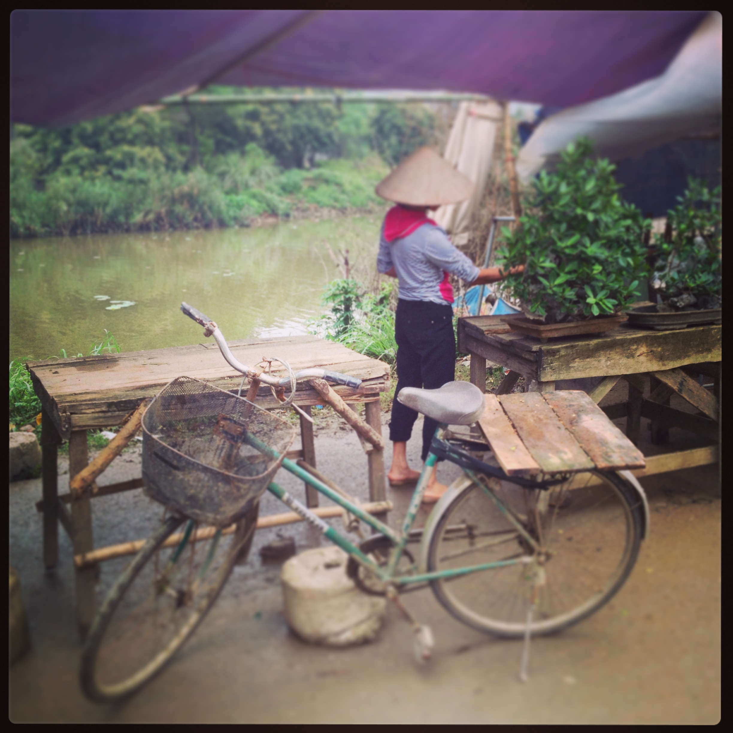 Annick en voyage de familiarisation au Vietnam - Hue