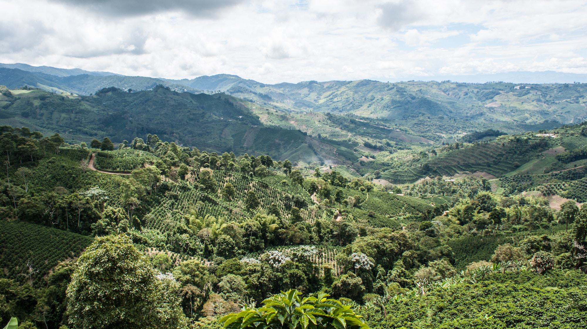 3 bonnes raisons de voyager en Colombie